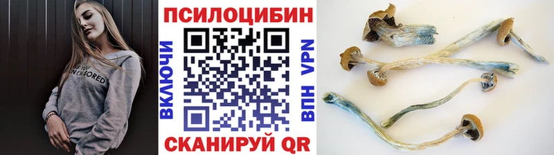 наркотики  сайты даркнета официальный сайт  Галлюциногенные грибы GOLDEN TEACHER  Кола 